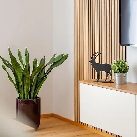 Oberbichl Apartment *